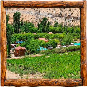 Cabañas Elqui Paraiso