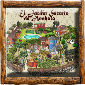 Cabañas Elqui Paraiso
