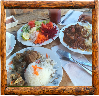 Cabañas Elqui Paraiso