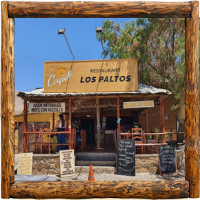 Cabañas Elqui Paraiso